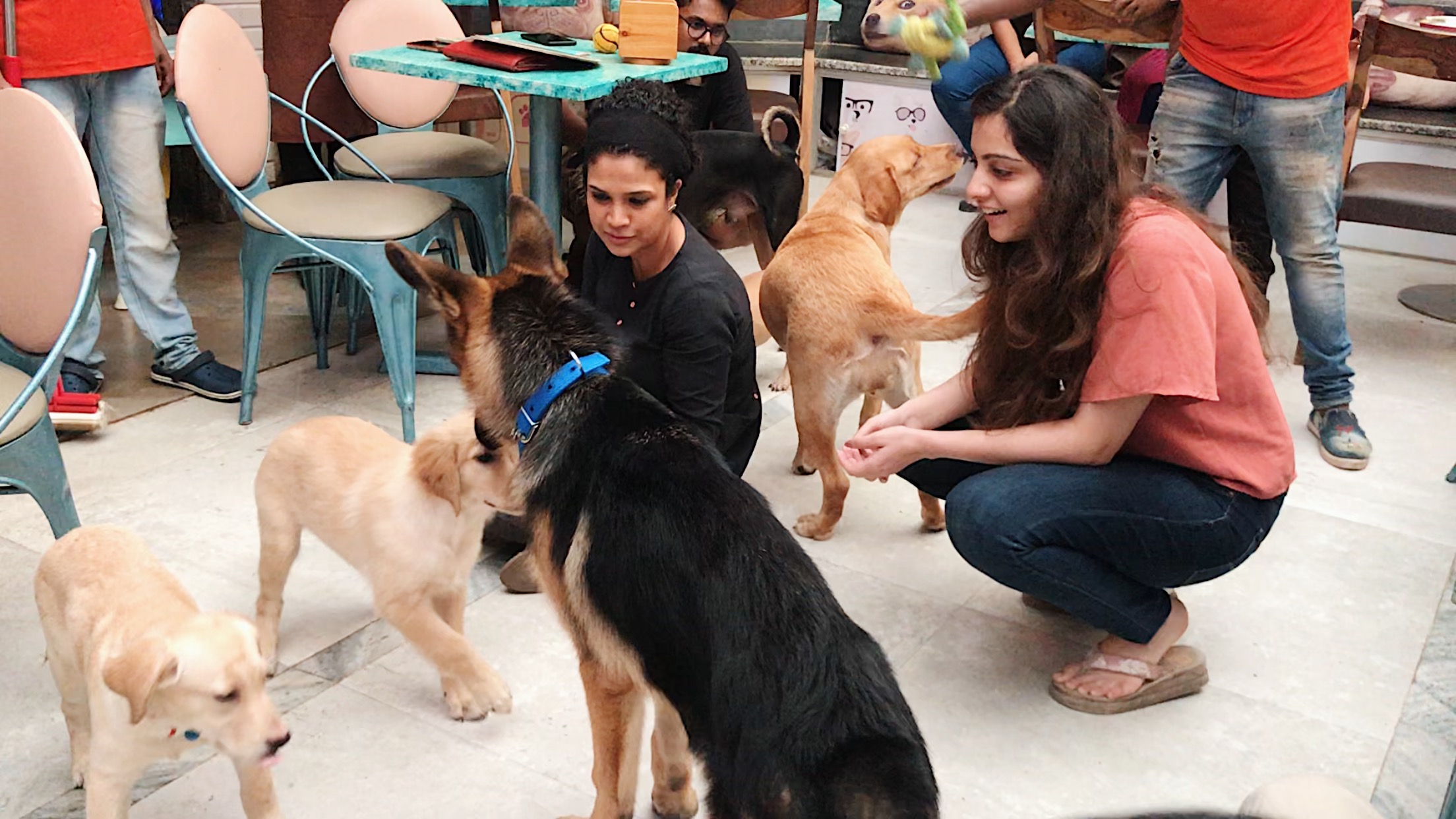 PEFE - The Pet Cafe