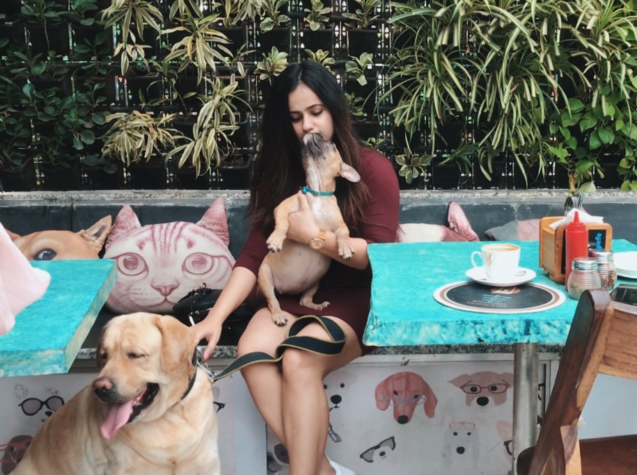 PEFE - The Pet Cafe