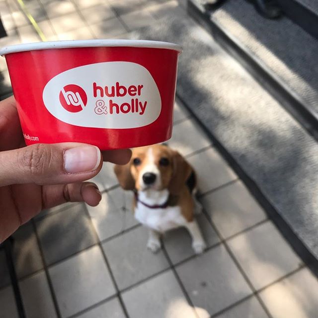 Huber & Holly (Photo Credit - @huber&holly via Instagram)