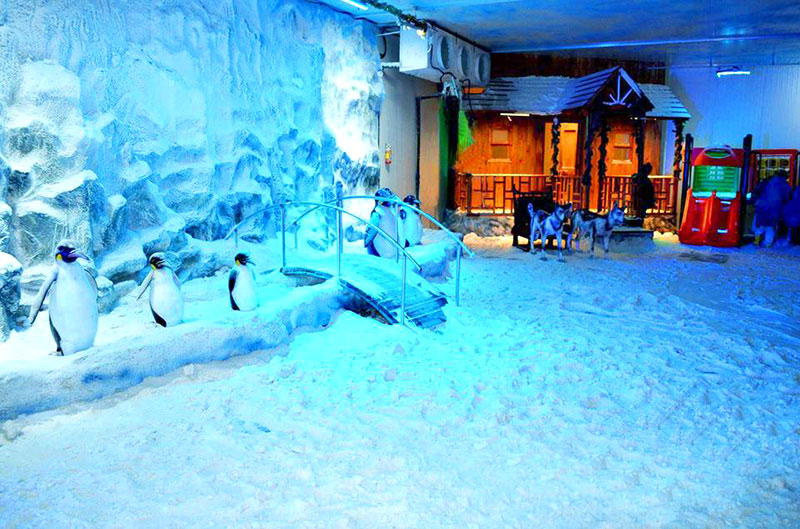 Fun at Snow world