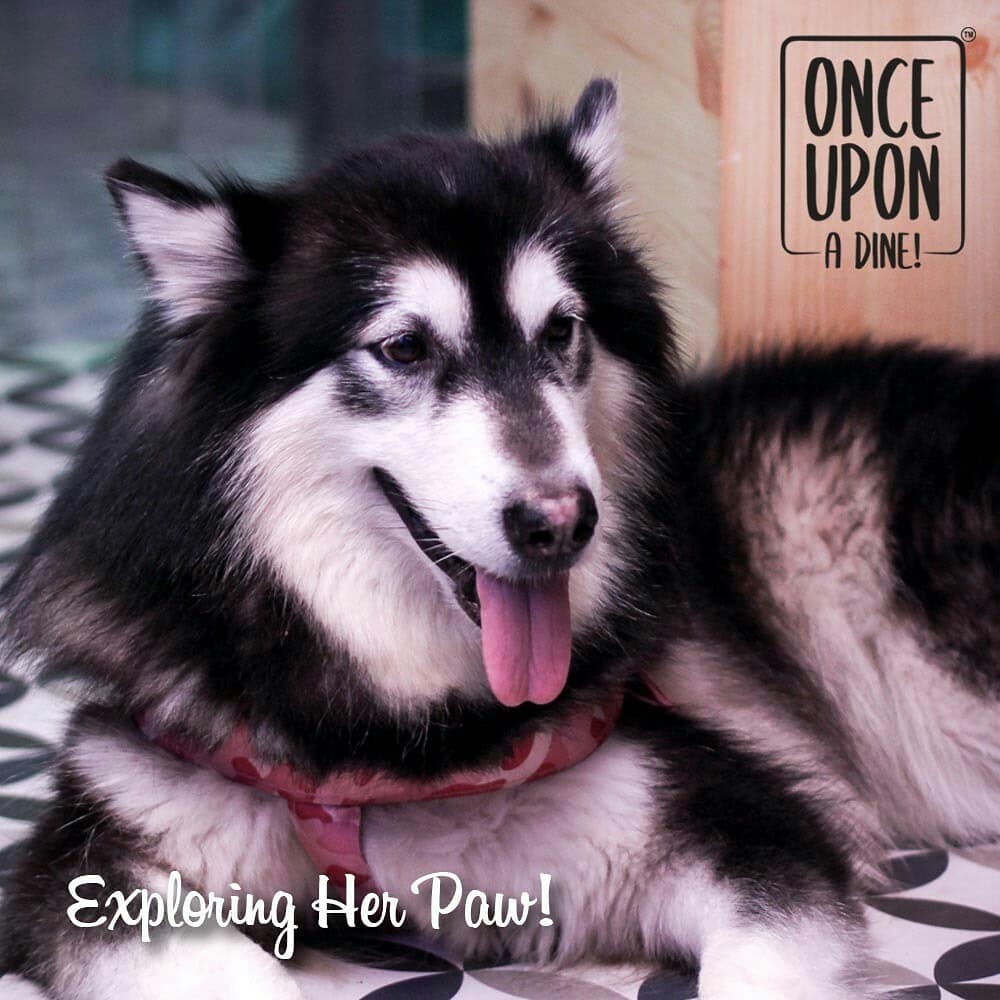 Once Upon A Dine (Photo Credit - @onceuponadine via Instagram)
