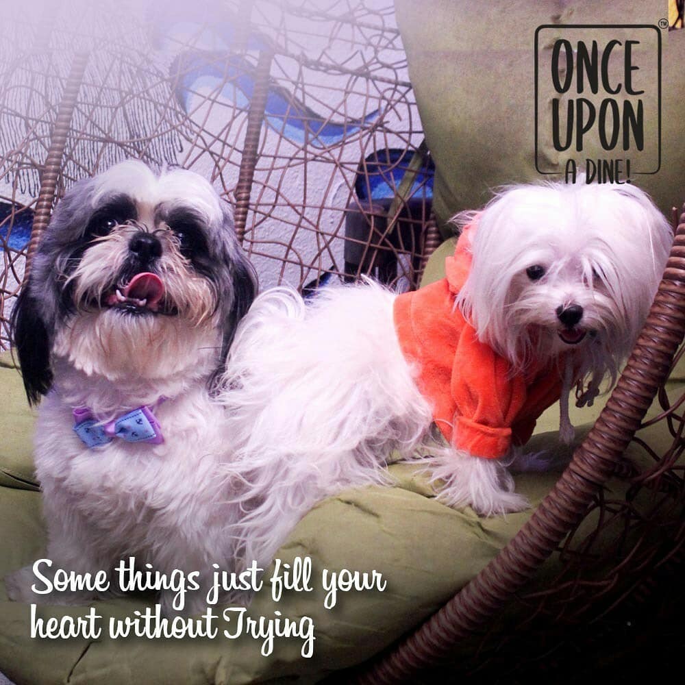 Once Upon A Dine (Photo Credit - @onceuponadine via Instagram)