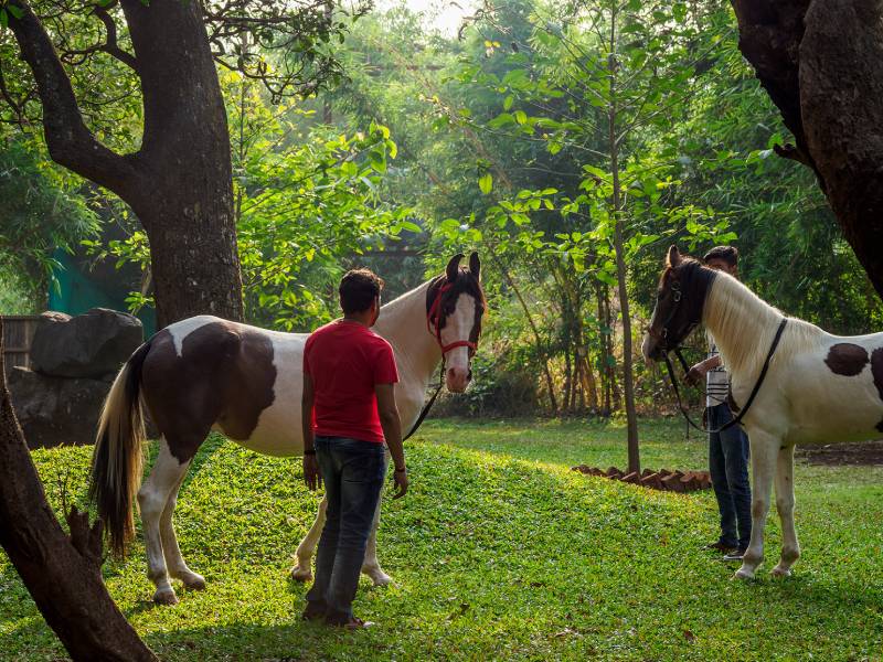Outdoor Area at Malhar Machi