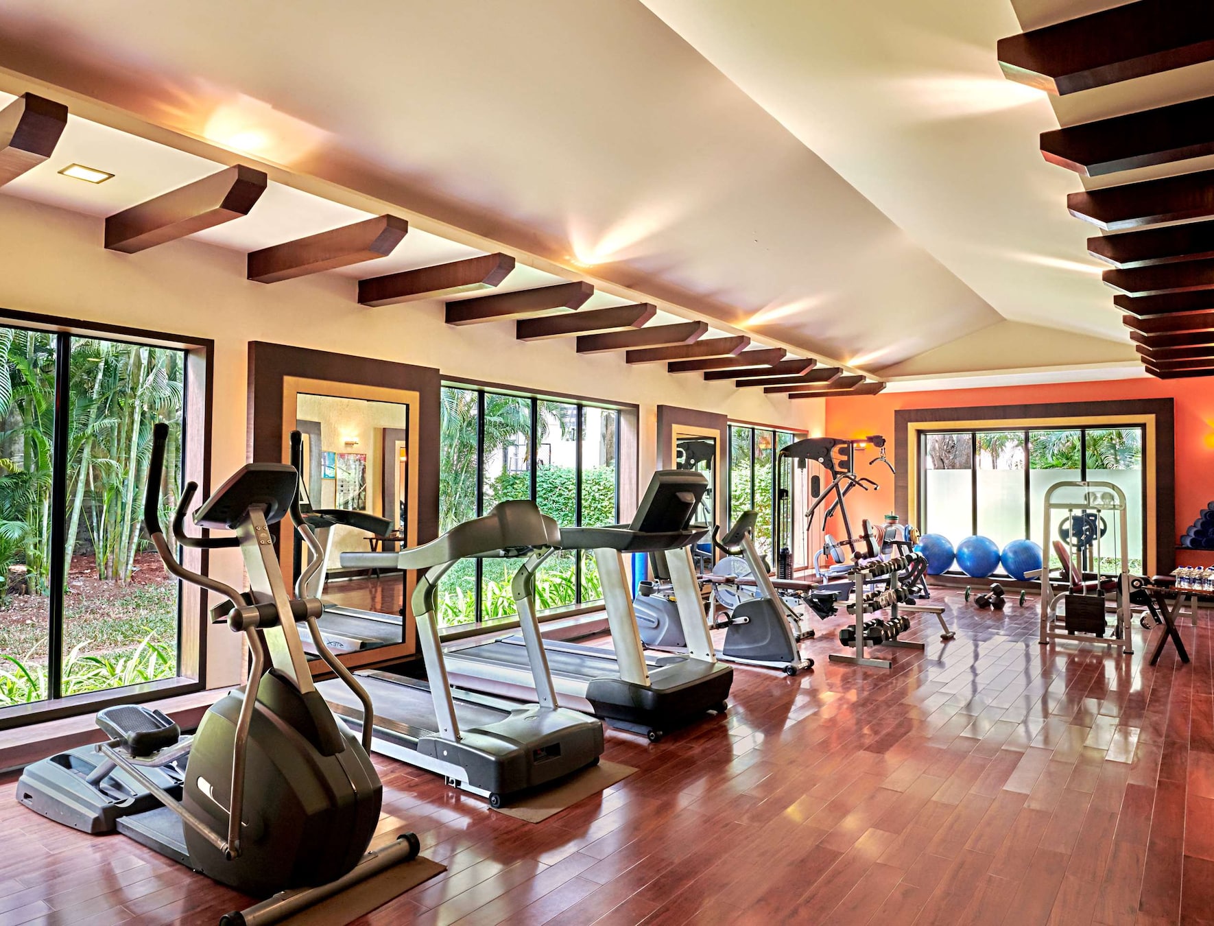 Gym at Radisson Blu Alibaug