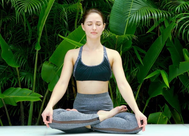 carnousite wellness