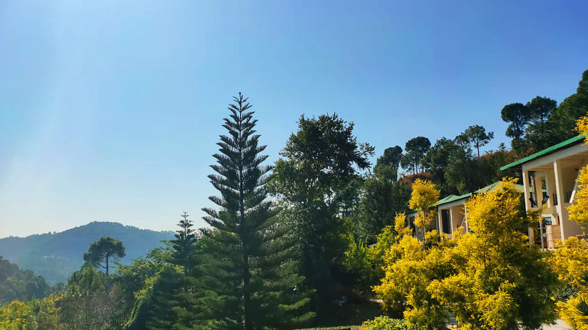 niramaaya retreat