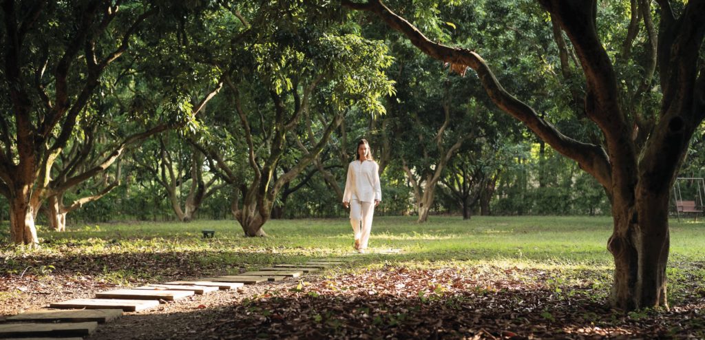 vana retreat india